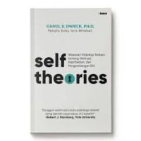 Self Theories